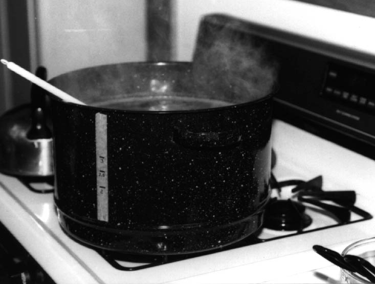 Fichier:1 7 1 BeginningTheBoil2.jpg