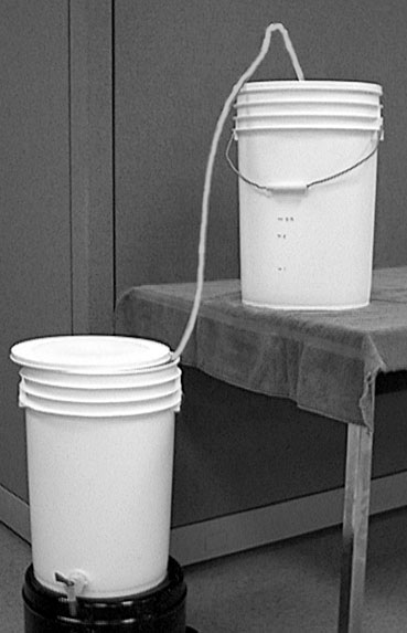 Fichier:1 1 3 Bottling day2.jpg