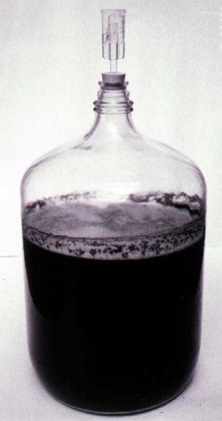Fichier:1 9 3 ConductingFermentation4.jpg