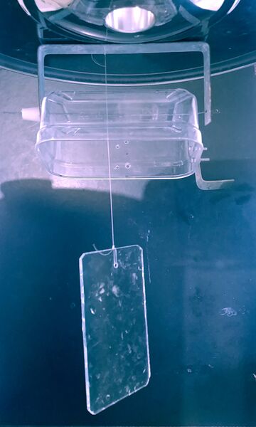 ensemble après basculement